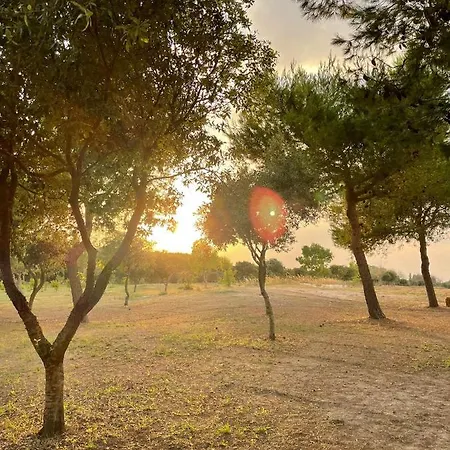 Tenuta Pozzello