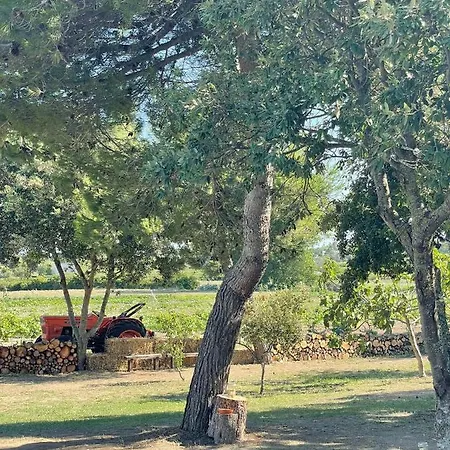 Tenuta Pozzello Bed & Breakfast