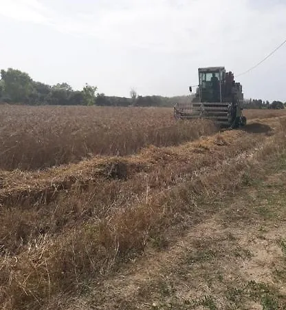 Tenuta Pozzello Panzió