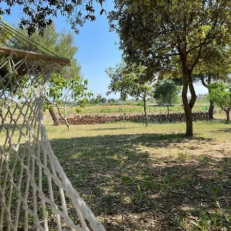 Tenuta Pozzello